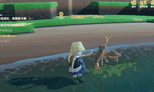 星布谷地抓龙虾有什么技巧 龙虾捕捉详细方法攻略