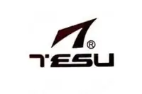 深圳市特速网络科技服务有限公司