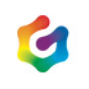 巨人网络集团股份有限公司