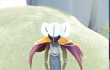 光遇白鸟怎么获取：光遇白鸟在那里获取