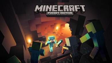 该来的总将会来 《我的世界》增加内购项目