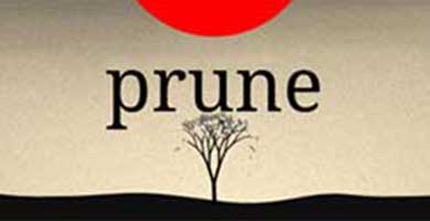 文艺解谜游戏《修剪艺术》7月23日上架iOS