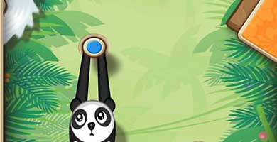 吊挂猴子周四上架 看猴子如何上树