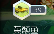 球球大作战里面进化等级有什么用 怎么看等级