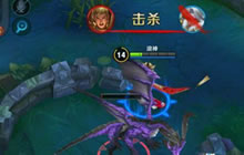 王者荣耀武则天打野攻略讲解 神速清野小能手