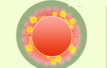 球球大作战花儿朵朵光环皮肤购买价格揭秘