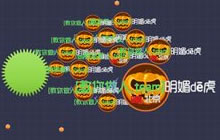 球球大作战团战前期队友抱团重要性全面分析