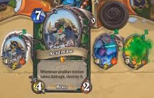 进化流萨满包揽各位大哥 酸喉表示非常不服