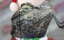 蜥蜴小组盯上暴雪 外服遭遇到黑客攻击影响