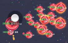 球球大作战企鹅族长实况解说 超神称霸全场