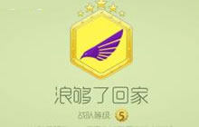 球球大作战浪够了回家战队基本信息全面揭秘