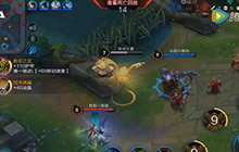 王者荣耀雅典娜调教宝典 鱼头教你玩会女神