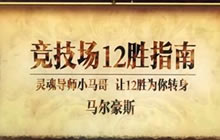 马尔豪斯炉石传说竞技场 牧羊猎暴躁12胜