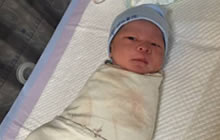 安德罗妮宝宝终于诞生 炉石粉丝评论感人