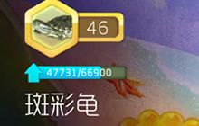 球球大作战进化知识的进度条在哪里可以看