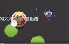 球球大作战团队双刷教学视频 教你如何发育