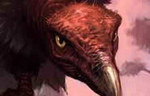 炉石传说卡拉赞第三区 从卡组实例中看馆长