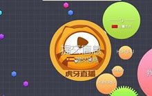 球球大作战苍蝇冷战是什么意思 黑话术语解析