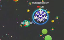 球球大作战吐孢子引诱对手有用吗 自建房教学