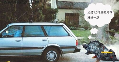 CF手游枪王节操秀 生化统领带着节奏动起来