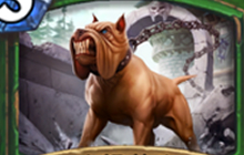 炉石传说最接近关门放狗的法术卡牌是什么