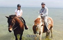 炉石传说王师傅 不将就王师傅献唱