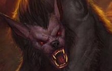 炉石传说新手德鲁伊卡组推荐 德鲁伊新手卡