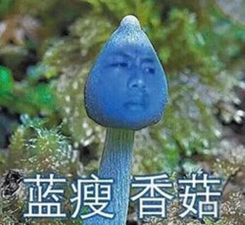 香菇蓝瘦是什么 球球大作战主播撩妹新玩法