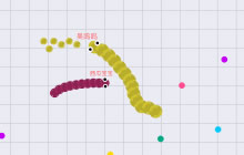 贪吃蛇大作战如何成为大蛇 如何达到10w长度