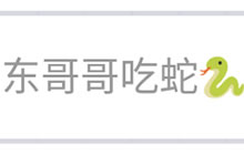 贪吃蛇大作战名字怎么加小蛇图案 蛇名字设置