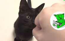 球球大作战狄克海威：大神房间小学生混战