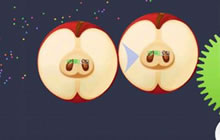 球球大作战什么时候能够吃掉绿刺不被分割成小球