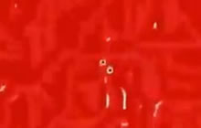 贪吃蛇大作战舔屏大神 8291530米究竟是真假