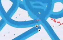 贪吃蛇大作战前期怎么低调求生 前期发育心得