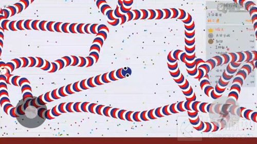 贪吃蛇大作战怎么利用尸体去吃对手 尸体利诱法