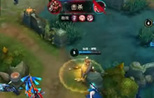 王者荣耀职业联赛仙阁对战sViper庄周大杀特杀