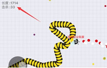 贪吃蛇大作战怎么查看战绩 分数和杀敌数如何看