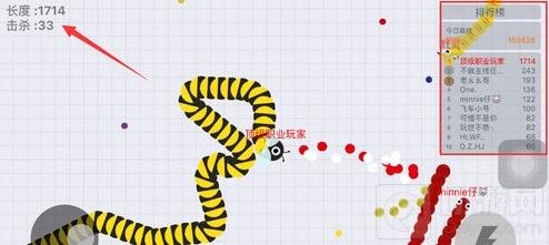 贪吃蛇大作战怎么查看战绩 分数和杀敌数如何看