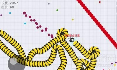 贪吃蛇大作战闪退怎么办 游戏闪退怎么修复