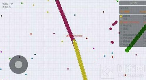 贪吃蛇大作战碰头杀怎么用 碰头杀正确姿势