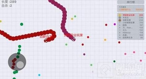 贪吃蛇大作战混战生存技巧分享 生存方法解读