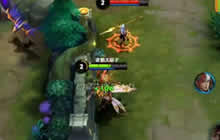 王者荣耀大胡子解说杨戬 丢狗无限连招视频