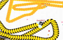 贪吃蛇大作战翔子解说 又粗又长限时3000米