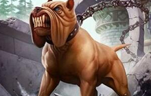 炉石传说动物伙伴数据分析 上万次数据整理