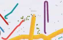 贪吃蛇大作战团战主攻手怎么玩 攻击手玩法攻略