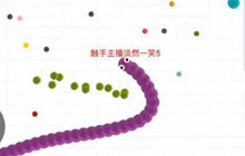 贪吃蛇大作战分享链接金币不增加是怎么回事