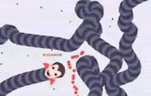 贪吃蛇大作战逃跑怎么操作 实用逃跑方法分析