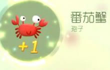 球球大作战超大宝箱出番茄蟹的几率如何讲解