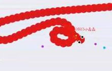 贪吃蛇大作战分数高排行榜在哪里查看说明