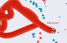 贪吃蛇大作战黑屏是怎么回事 原因及解决办法